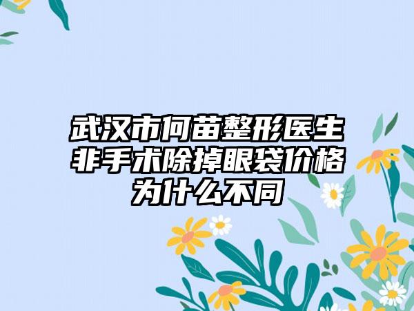武汉市何苗整形医生非手术除掉眼袋价格为什么不同