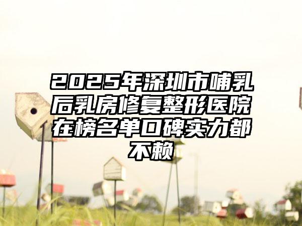 2025年深圳市哺乳后乳房修复整形医院在榜名单口碑实力都不赖