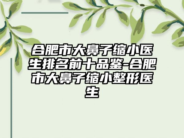 合肥市大鼻子缩小医生排名前十品鉴-合肥市大鼻子缩小整形医生
