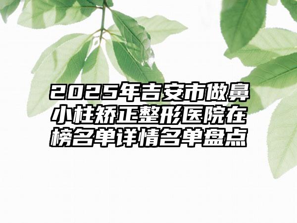 2025年吉安市做鼻小柱矫正整形医院在榜名单详情名单盘点