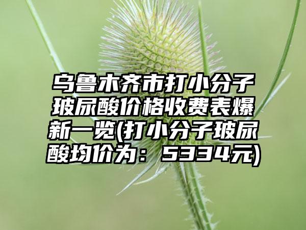 乌鲁木齐市打小分子玻尿酸价格收费表爆新一览(打小分子玻尿酸均价为：5334元)