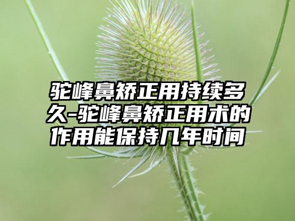 驼峰鼻矫正用持续多久-驼峰鼻矫正用术的作用能保持几年时间