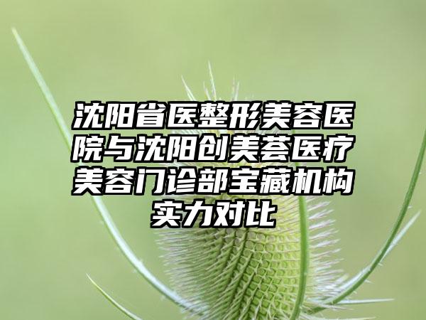 沈阳省医整形美容医院与沈阳创美荟医疗美容门诊部宝藏机构实力对比