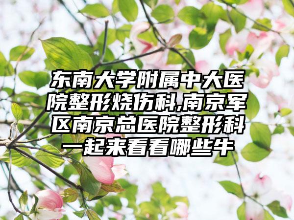 东南大学附属中大医院整形烧伤科,南京军区南京总医院整形科一起来看看哪些牛