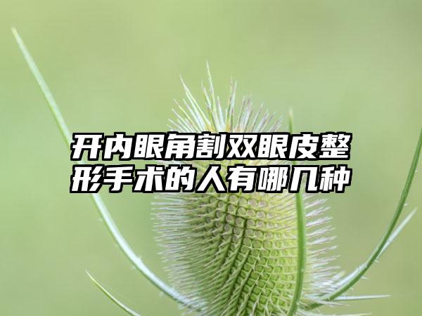 开内眼角割双眼皮整形手术的人有哪几种