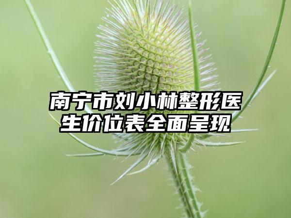 南宁市刘小林整形医生价位表全面呈现