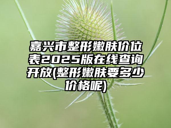 嘉兴市整形嫩肤价位表2025版在线查询开放(整形嫩肤要多少价格呢)