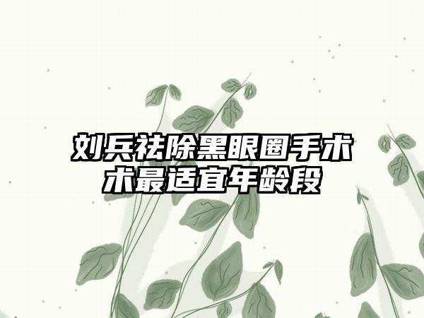 刘兵祛除黑眼圈手术术最适宜年龄段
