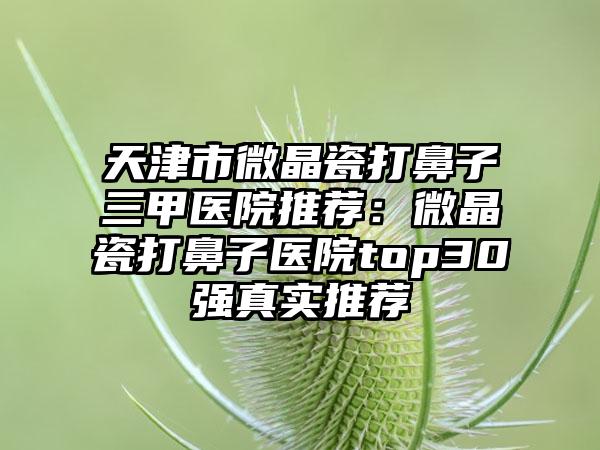 天津市微晶瓷打鼻子三甲医院推荐：微晶瓷打鼻子医院top30强真实推荐
