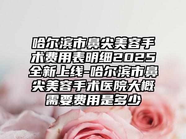 哈尔滨市鼻尖美容手术费用表明细2025全新上线-哈尔滨市鼻尖美容手术医院大概需要费用是多少