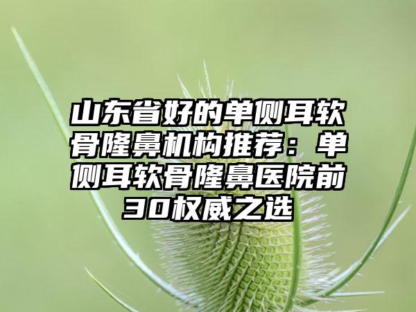 山东省好的单侧耳软骨隆鼻机构推荐：单侧耳软骨隆鼻医院前30权威之选