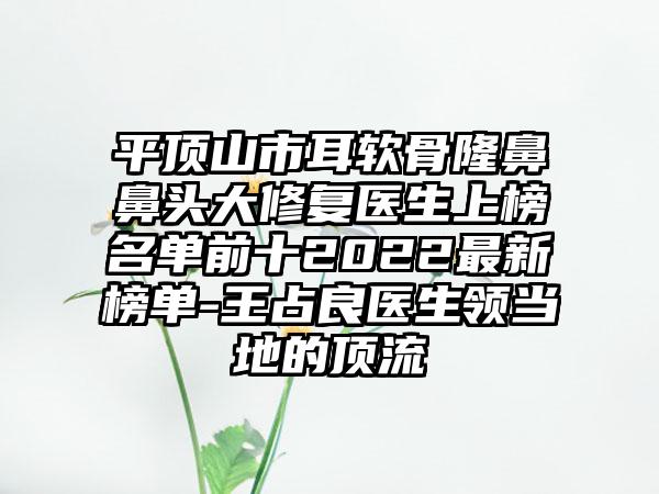 平顶山市耳软骨隆鼻鼻头大修复医生上榜名单前十2022最新榜单-王占良医生领当地的顶流