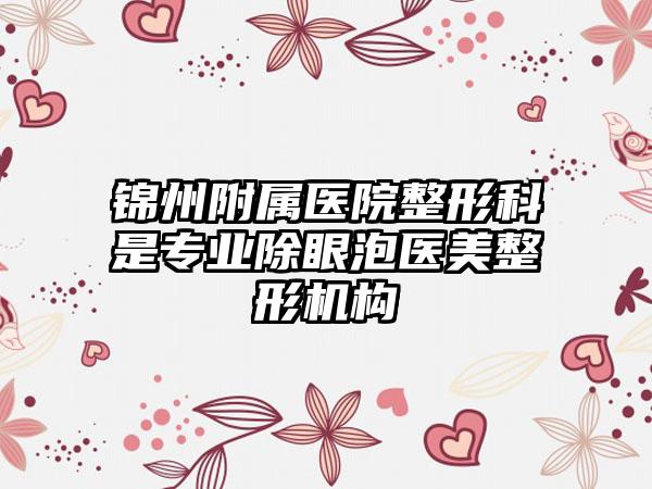 锦州附属医院整形科是专业除眼泡医美整形机构