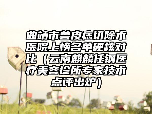 曲靖市兽皮痣切除术医院上榜名单硬核对比（云南麒麟任钢医疗美容诊所专家技术点评出炉）