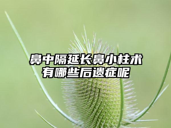 鼻中隔延长鼻小柱术有哪些后遗症呢