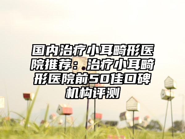 国内治疗小耳畸形医院推荐：治疗小耳畸形医院前50佳口碑机构评测
