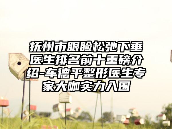 抚州市眼睑松弛下垂医生排名前十重磅介绍-车德平整形医生专家大咖实力入围