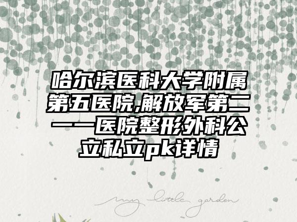 哈尔滨医科大学附属第五医院,解放军第二一一医院整形外科公立私立pk详情