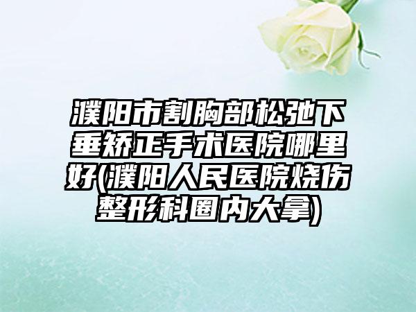 濮阳市割胸部松弛下垂矫正手术医院哪里好(濮阳人民医院烧伤整形科圈内大拿)