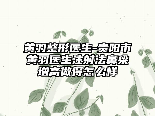 黄羽整形医生-贵阳市黄羽医生注射法鼻梁增高做得怎么样