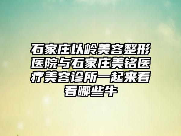 石家庄以岭美容整形医院与石家庄美铭医疗美容诊所一起来看看哪些牛