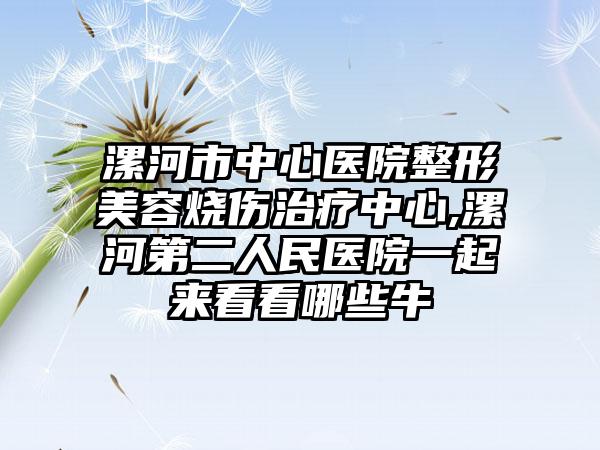 漯河市中心医院整形美容烧伤治疗中心,漯河第二人民医院一起来看看哪些牛