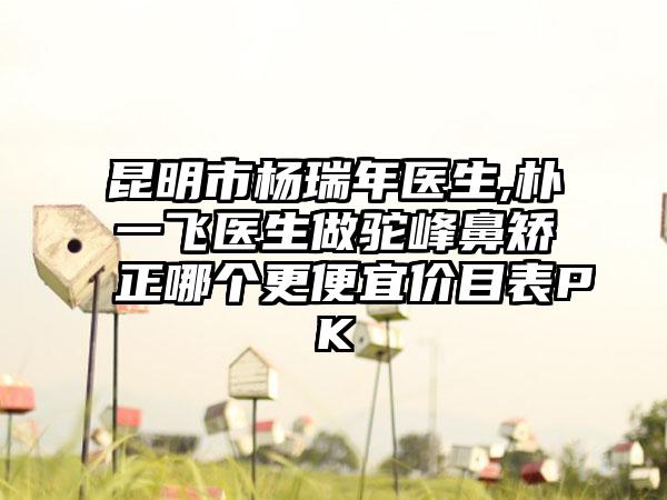 昆明市杨瑞年医生,朴一飞医生做驼峰鼻矫正哪个更便宜价目表PK