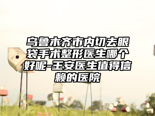 乌鲁木齐市内切去眼袋手术整形医生哪个好呢-王安医生值得信赖的医院