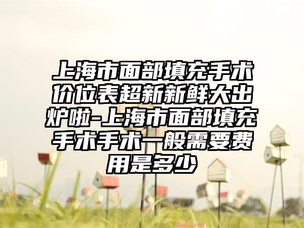 上海市面部填充手术价位表超新新鲜大出炉啦-上海市面部填充手术手术一般需要费用是多少