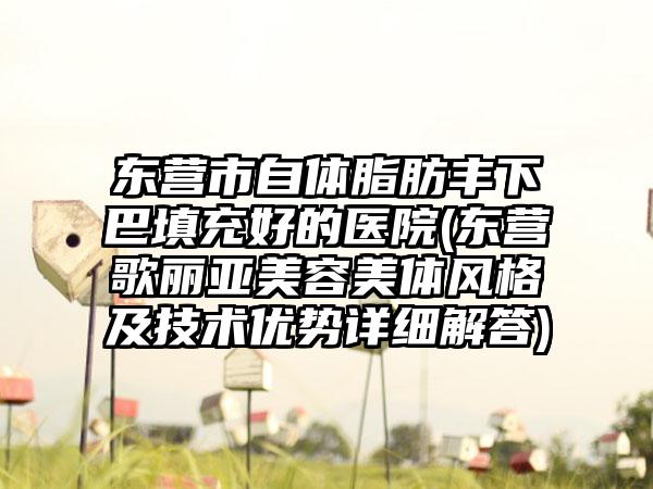 东营市自体脂肪丰下巴填充好的医院(东营歌丽亚美容美体风格及技术优势详细解答)