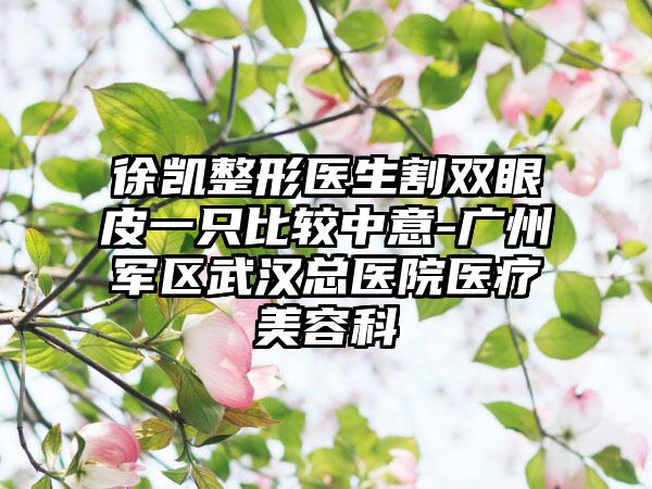 徐凯整形医生割双眼皮一只比较中意-广州军区武汉总医院医疗美容科