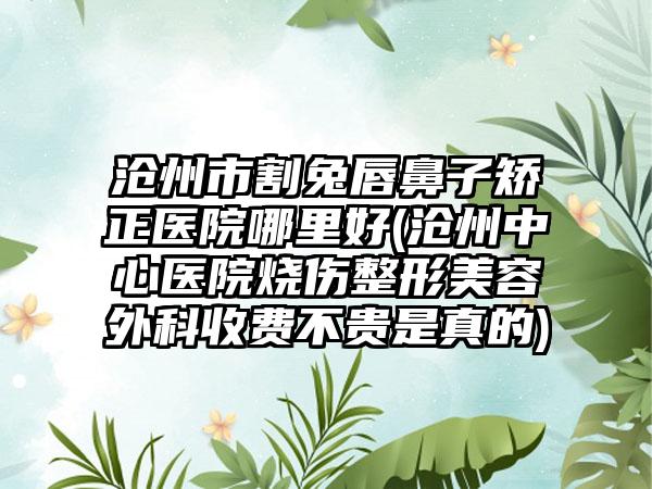 沧州市割兔唇鼻子矫正医院哪里好(沧州中心医院烧伤整形美容外科收费不贵是真的)