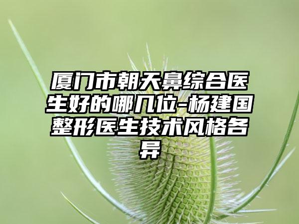 厦门市朝天鼻综合医生好的哪几位-杨建国整形医生技术风格各异