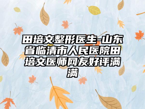 田培文整形医生-山东省临清市人民医院田培文医师网友好评满满