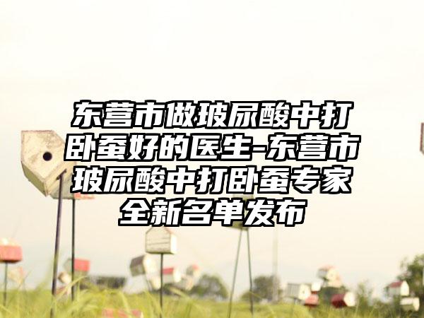 东营市做玻尿酸中打卧蚕好的医生-东营市玻尿酸中打卧蚕专家全新名单发布