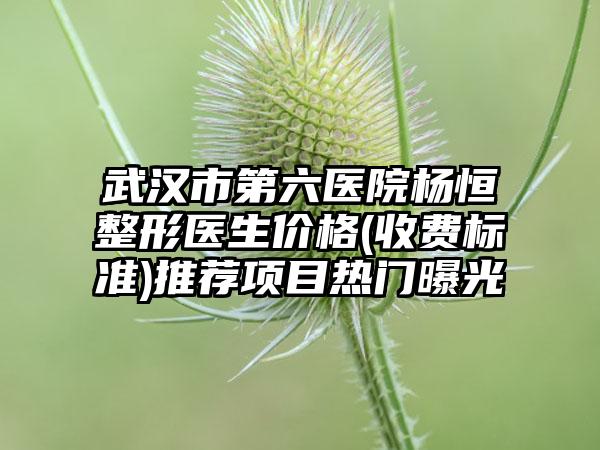 武汉市第六医院杨恒整形医生价格(收费标准)推荐项目热门曝光