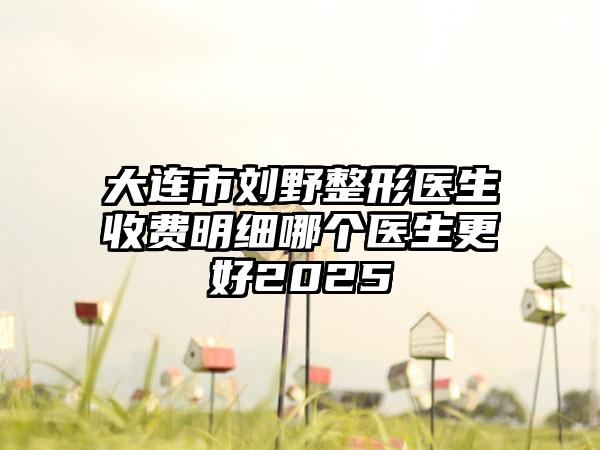 大连市刘野整形医生收费明细哪个医生更好2025