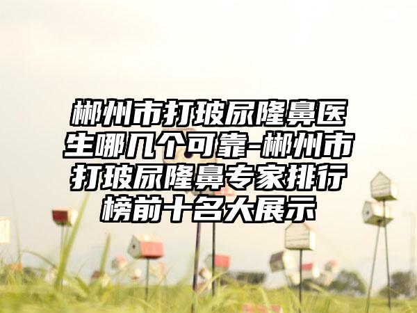 郴州市打玻尿隆鼻医生哪几个可靠-郴州市打玻尿隆鼻专家排行榜前十名大展示