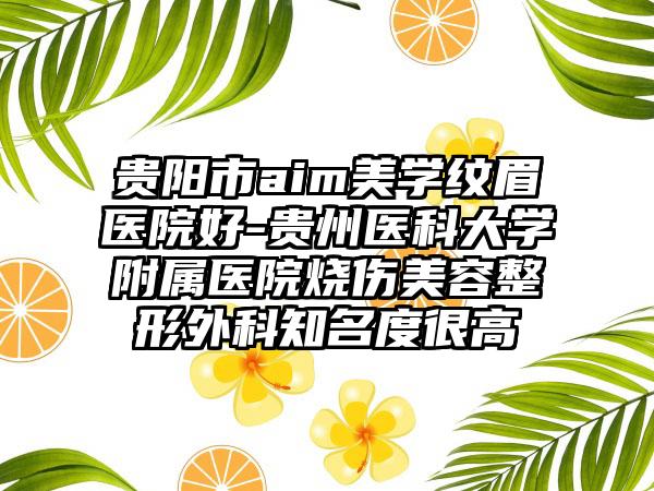 贵阳市aim美学纹眉医院好-贵州医科大学附属医院烧伤美容整形外科知名度很高