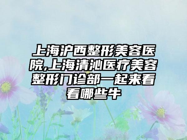 上海沪西整形美容医院,上海清沁医疗美容整形门诊部一起来看看哪些牛