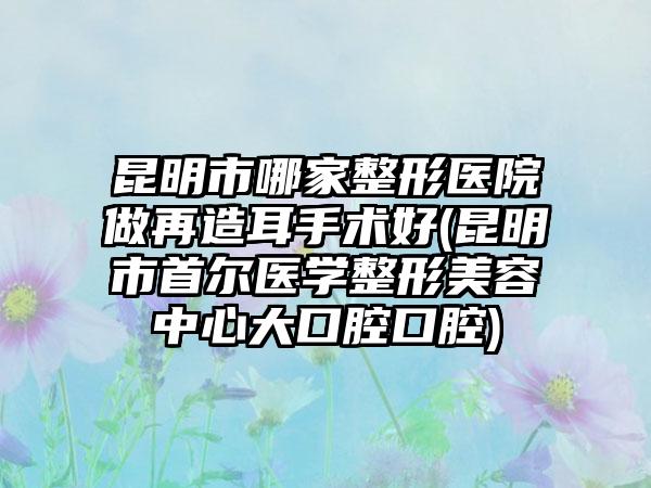 昆明市哪家整形医院做再造耳手术好(昆明市首尔医学整形美容中心大口腔口腔)