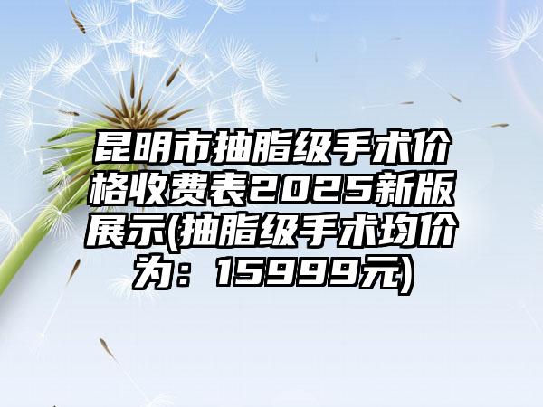 昆明市抽脂级手术价格收费表2025新版展示(抽脂级手术均价为：15999元)