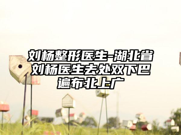 刘杨整形医生-湖北省刘杨医生去处双下巴遍布北上广