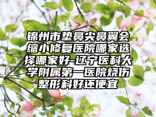 锦州市垫鼻尖鼻翼会缩小修复医院哪家选择哪家好-辽宁医科大学附属第一医院烧伤整形科好还便宜
