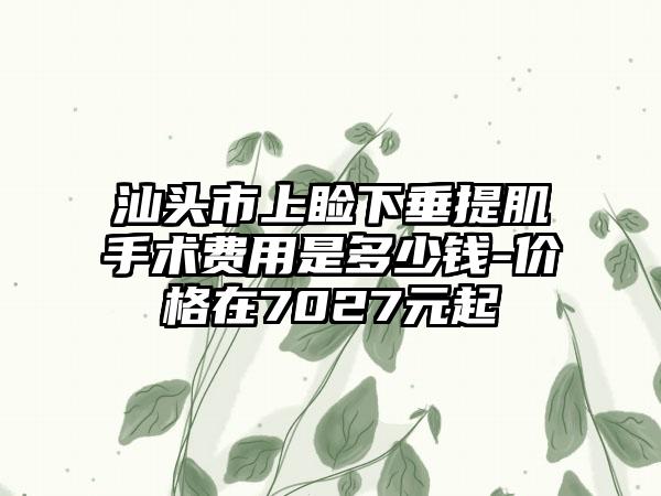 汕头市上睑下垂提肌手术费用是多少钱-价格在7027元起