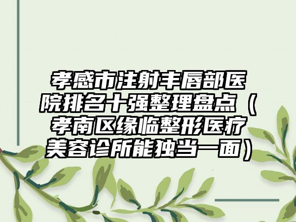 孝感市注射丰唇部医院排名十强整理盘点（孝南区缘临整形医疗美容诊所能独当一面）