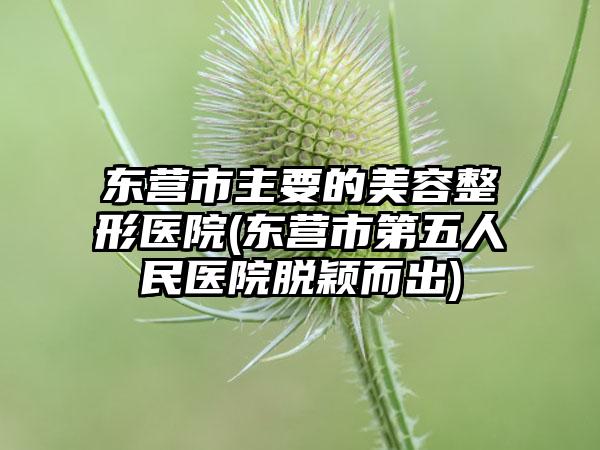 东营市主要的美容整形医院(东营市第五人民医院脱颖而出)