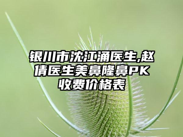 银川市沈江涌医生,赵倩医生美鼻隆鼻PK收费价格表