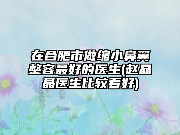 在合肥市做缩小鼻翼整容最好的医生(赵晶晶医生比较看好)