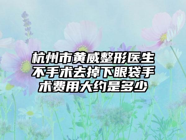 杭州市黄威整形医生不手术去掉下眼袋手术费用大约是多少